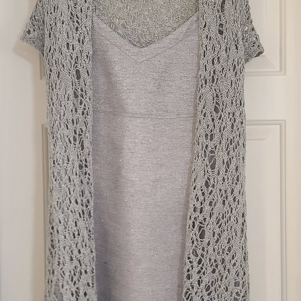 Eileen Fisher Silver Soft Shimmer Dress with Knit Lace Cover
